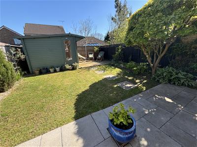 Picture 25